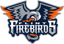 Flint Firebirds